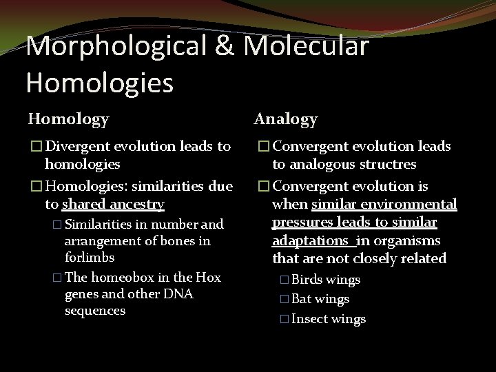 Morphological & Molecular Homologies Homology Analogy �Divergent evolution leads to homologies �Homologies: similarities due