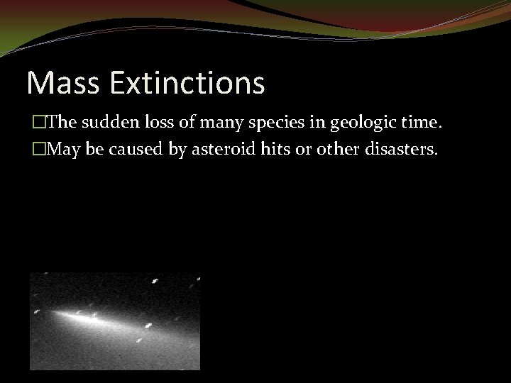 Mass Extinctions �The sudden loss of many species in geologic time. �May be caused
