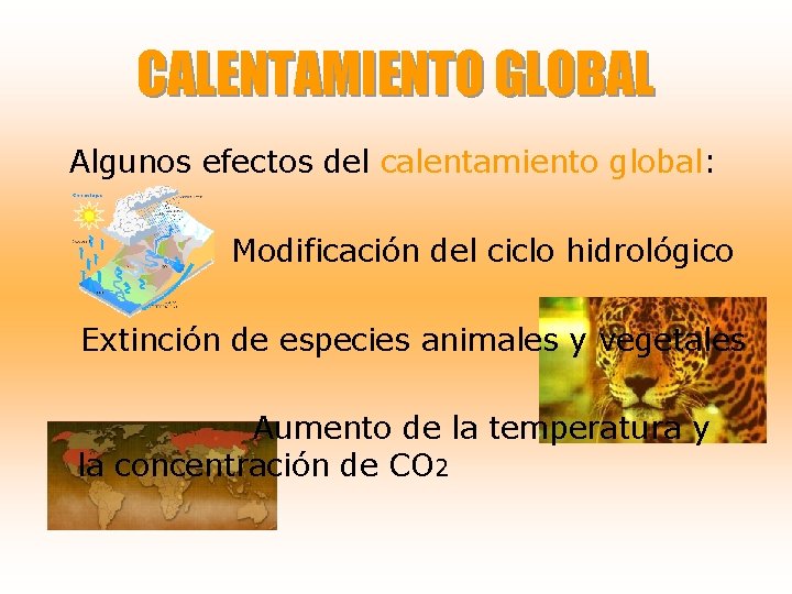 CALENTAMIENTO GLOBAL Algunos efectos del calentamiento global: Modificación del ciclo hidrológico Extinción de especies