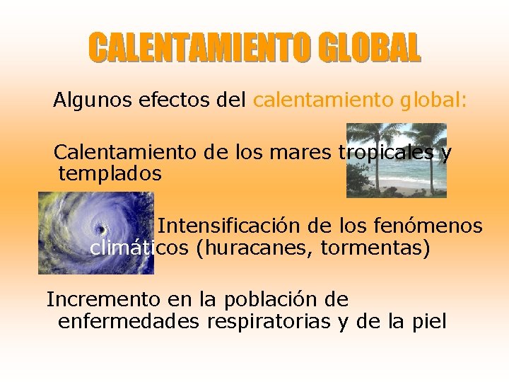 CALENTAMIENTO GLOBAL Algunos efectos del calentamiento global: Calentamiento de los mares tropicales y templados