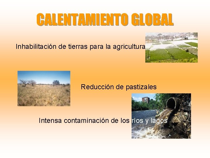 CALENTAMIENTO GLOBAL Inhabilitación de tierras para la agricultura Reducción de pastizales Intensa contaminación de