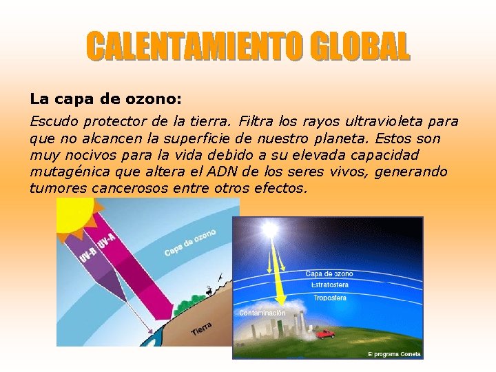 CALENTAMIENTO GLOBAL La capa de ozono: Escudo protector de la tierra. Filtra los rayos