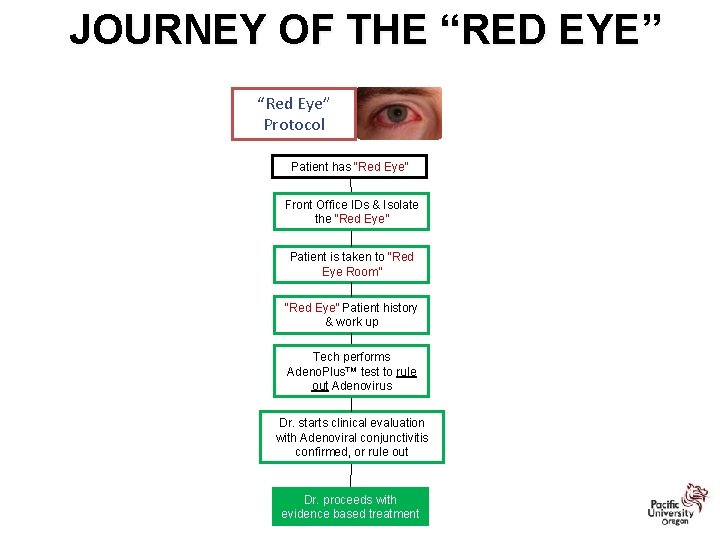 JOURNEY OF THE “RED EYE” “Red Eye” Protocol Patient has “Red Eye” Front Office