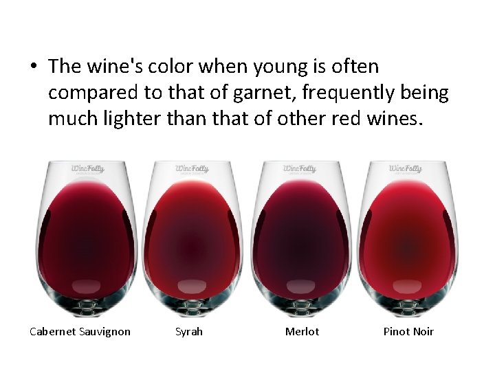  • The wine's color when young is often compared to that of garnet,