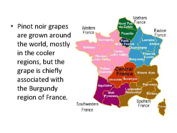  • Pinot noir grapes are grown around the world, mostly in the cooler
