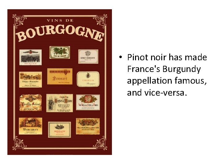  • Pinot noir has made France's Burgundy appellation famous, and vice-versa. 