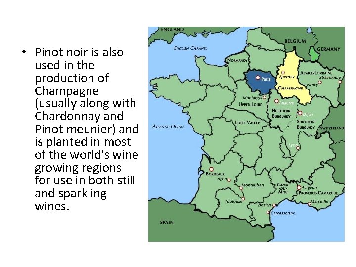  • Pinot noir is also used in the production of Champagne (usually along