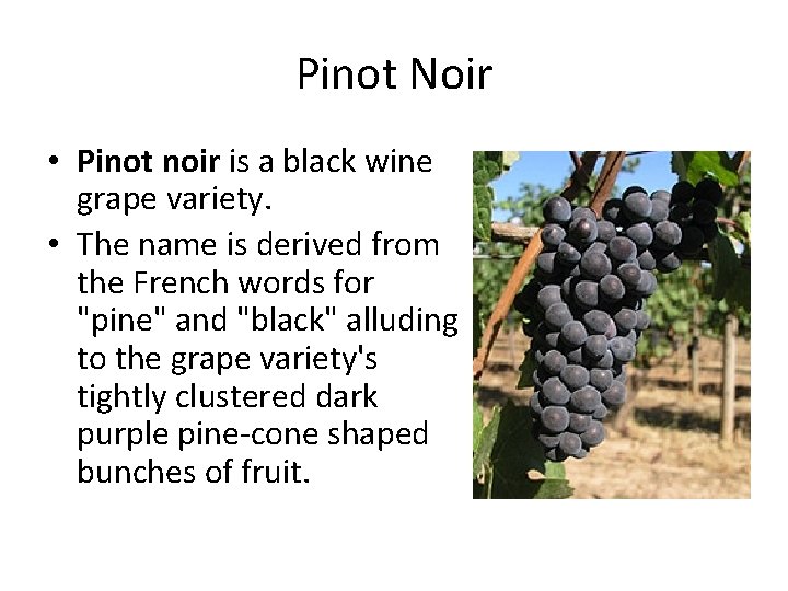 Pinot Noir • Pinot noir is a black wine grape variety. • The name