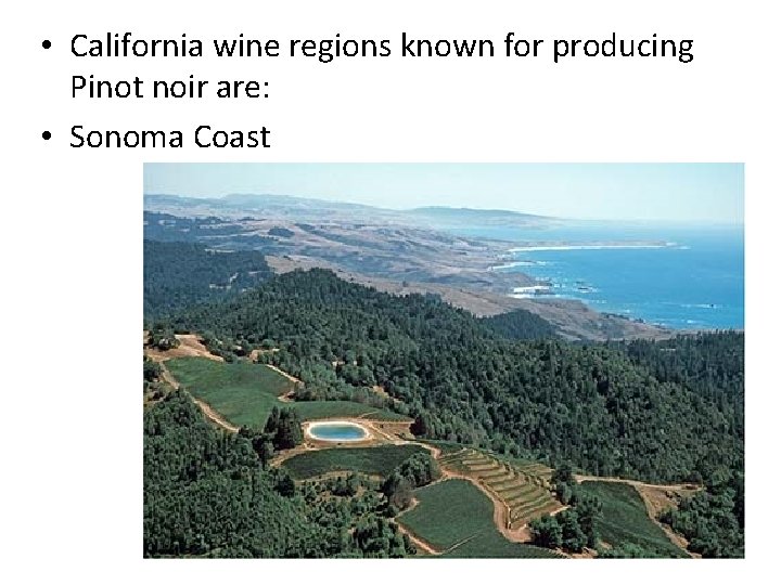  • California wine regions known for producing Pinot noir are: • Sonoma Coast