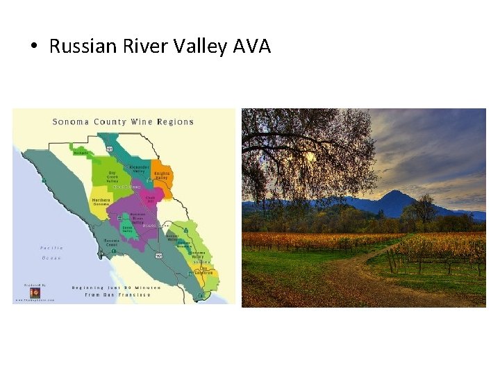  • Russian River Valley AVA 