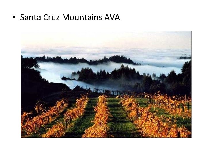  • Santa Cruz Mountains AVA 