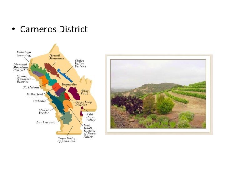  • Carneros District 