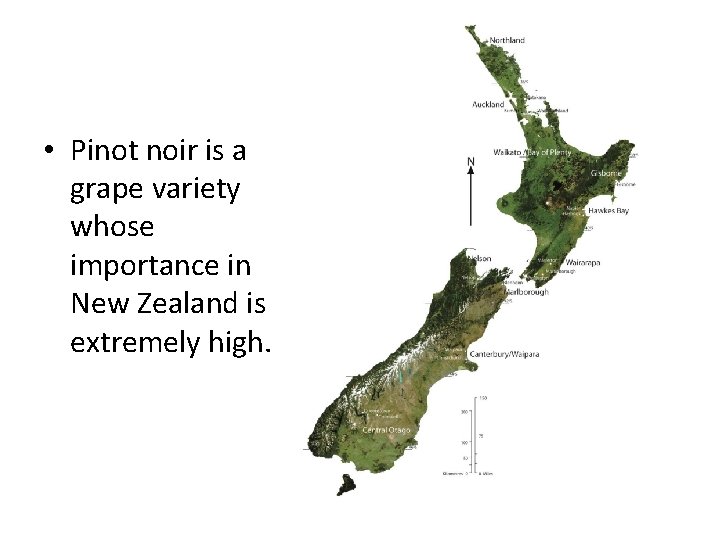  • Pinot noir is a grape variety whose importance in New Zealand is