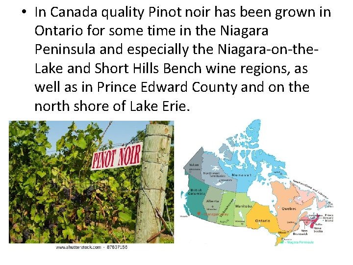  • In Canada quality Pinot noir has been grown in Ontario for some