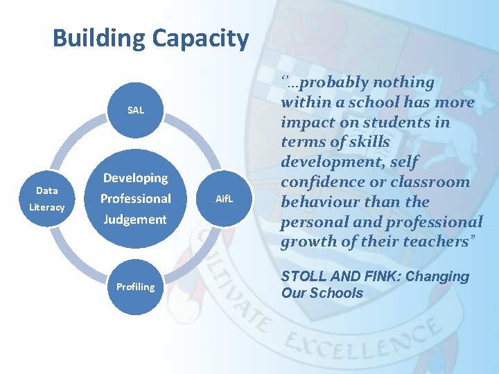 Building Capacity SAL Data Literacy Developing Professional Judgement Profiling Aif. L ‘’…probably nothing within