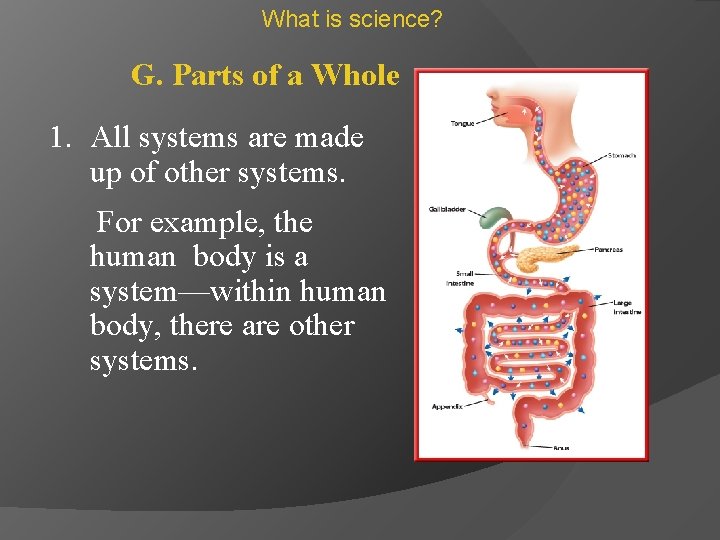 What is science? G. Parts of a Whole 1. All systems are made up