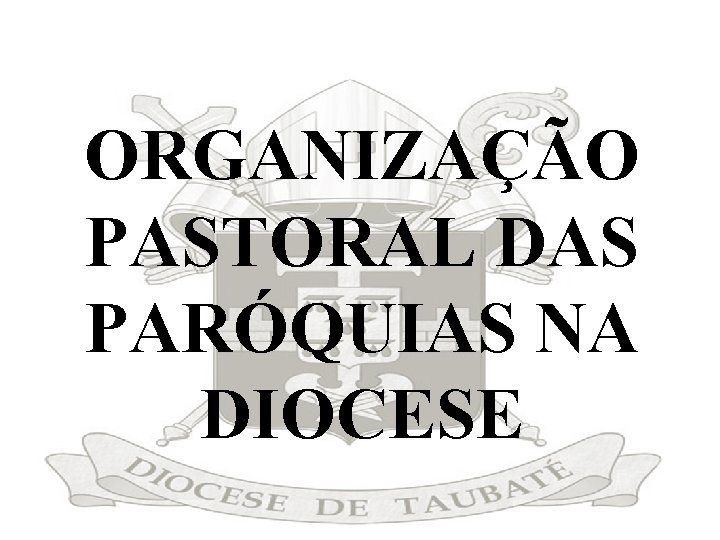 ORGANIZAÇÃO PASTORAL DAS PARÓQUIAS NA DIOCESE 