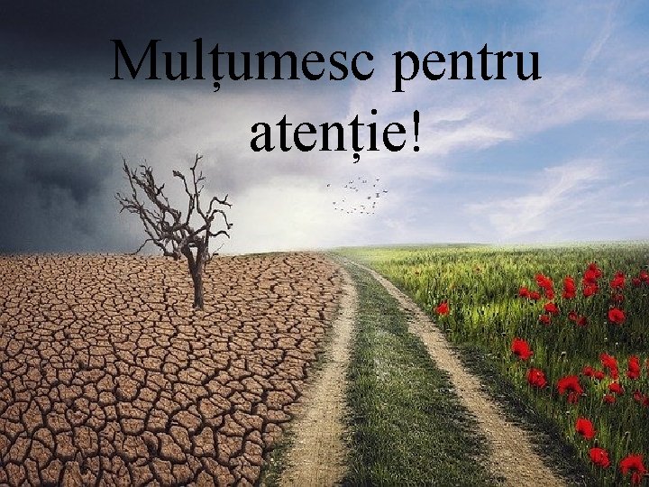 Mulțumesc pentru atenție! 