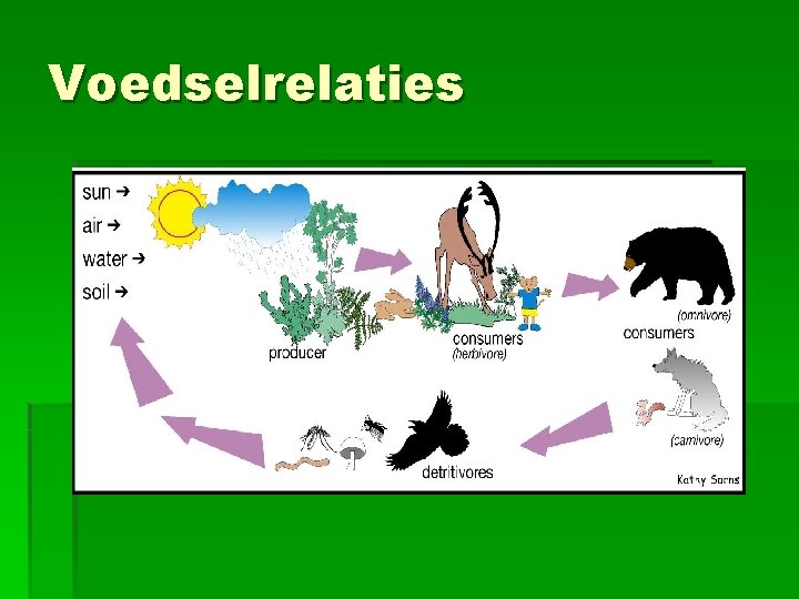 Voedselrelaties Voedselrelaties