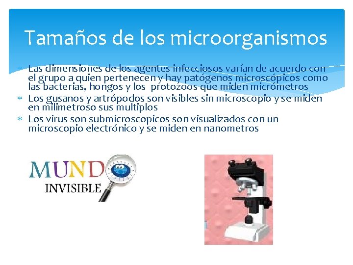 Tamaños de los microorganismos Las dimensiones de los agentes infecciosos varían de acuerdo con