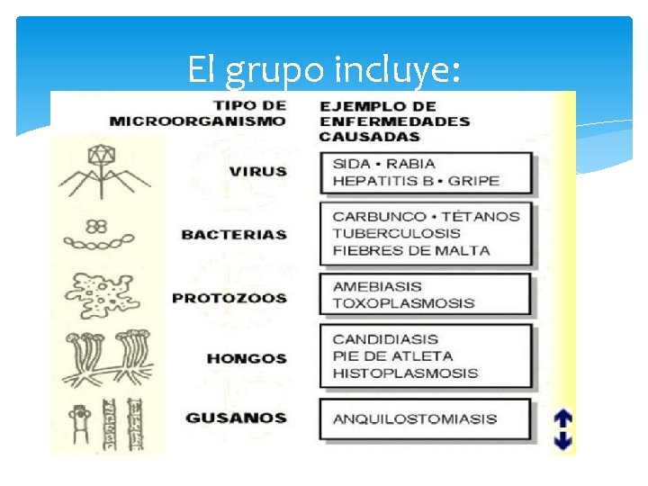 El grupo incluye: 