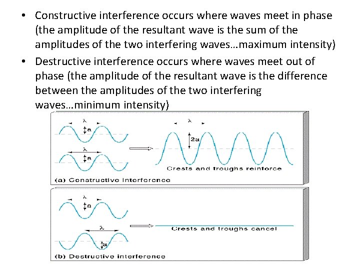  • Constructive interference occurs where waves meet in phase (the amplitude of the
