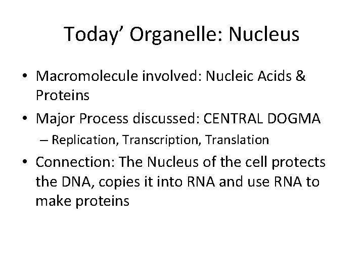 Today’ Organelle: Nucleus • Macromolecule involved: Nucleic Acids & Proteins • Major Process discussed: