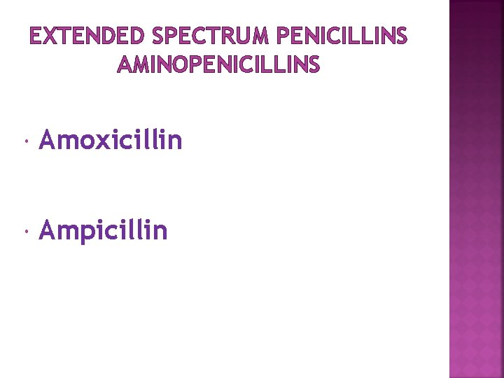 EXTENDED SPECTRUM PENICILLINS AMINOPENICILLINS Amoxicillin Ampicillin 