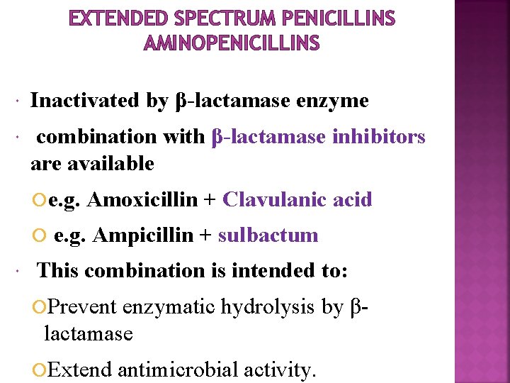 EXTENDED SPECTRUM PENICILLINS AMINOPENICILLINS Inactivated by β-lactamase enzyme combination with β-lactamase inhibitors are available