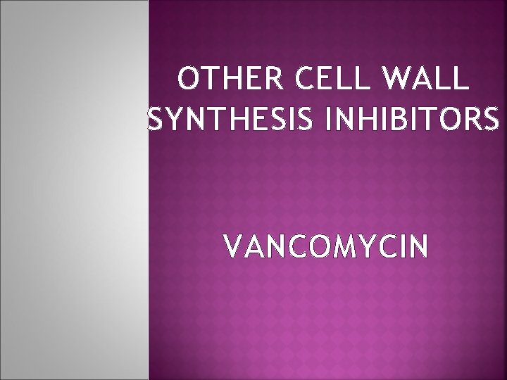 OTHER CELL WALL SYNTHESIS INHIBITORS VANCOMYCIN 