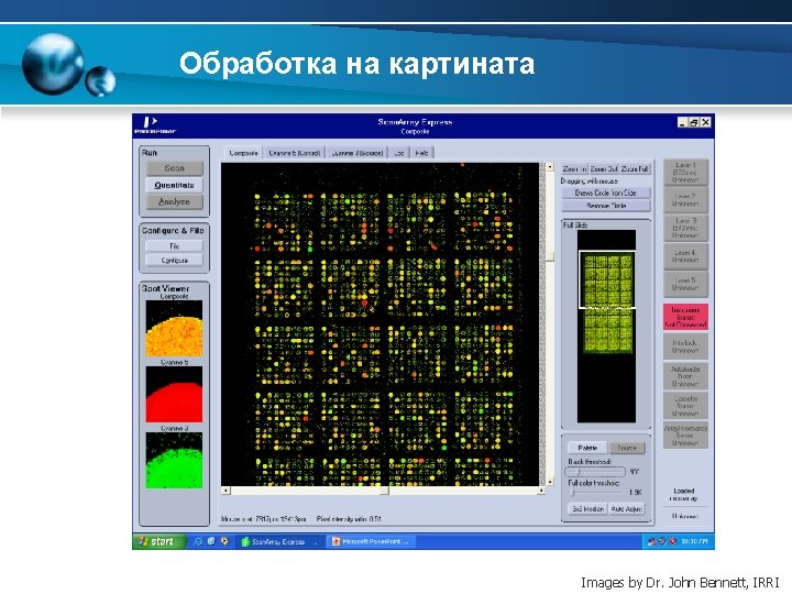 Обработка на картината Images by Dr. John Bennett, IRRI 