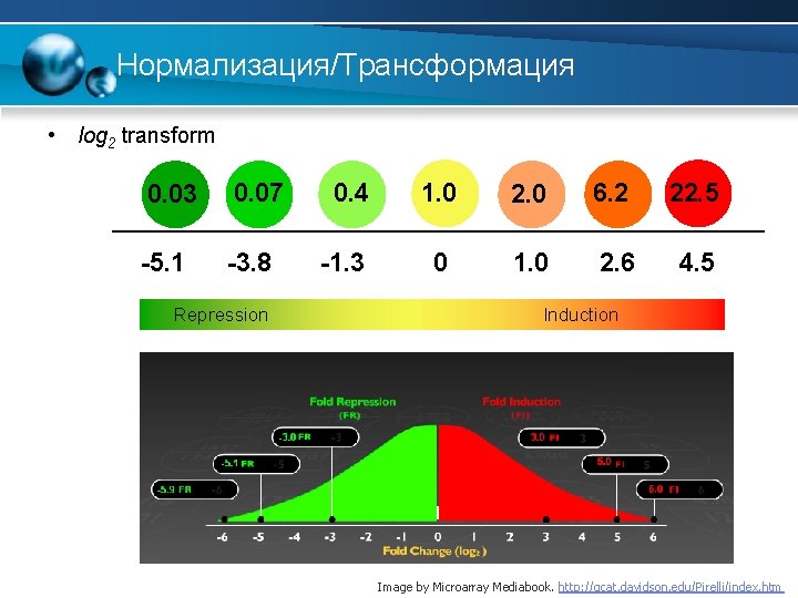 Нормализация/Трансформация • log 2 transform 0. 03 0. 07 -5. 1 -3. 8 Repression