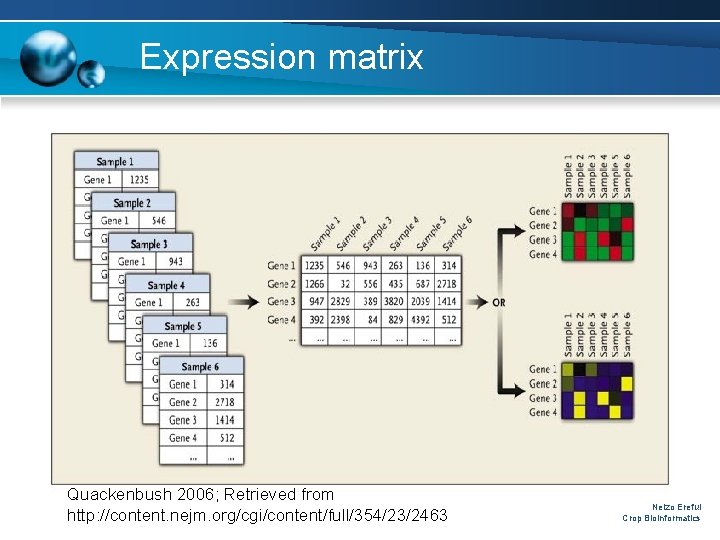 Expression matrix Quackenbush 2006; Retrieved from http: //content. nejm. org/cgi/content/full/354/23/2463 Nelzo Ereful Crop Bioinformatics