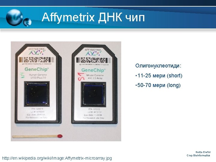 Affymetrix ДНК чип Олигонуклеотиди: • 11 -25 мери (short) • 50 -70 мери (long)