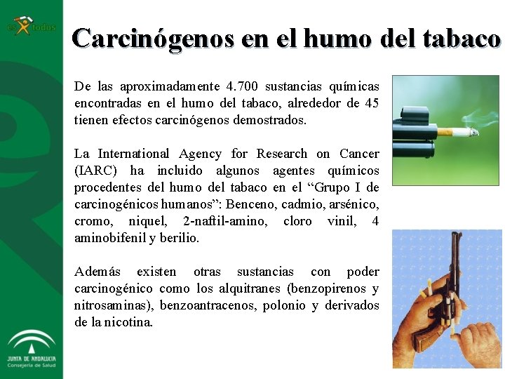 Carcinógenos en el humo del tabaco De las aproximadamente 4. 700 sustancias químicas encontradas