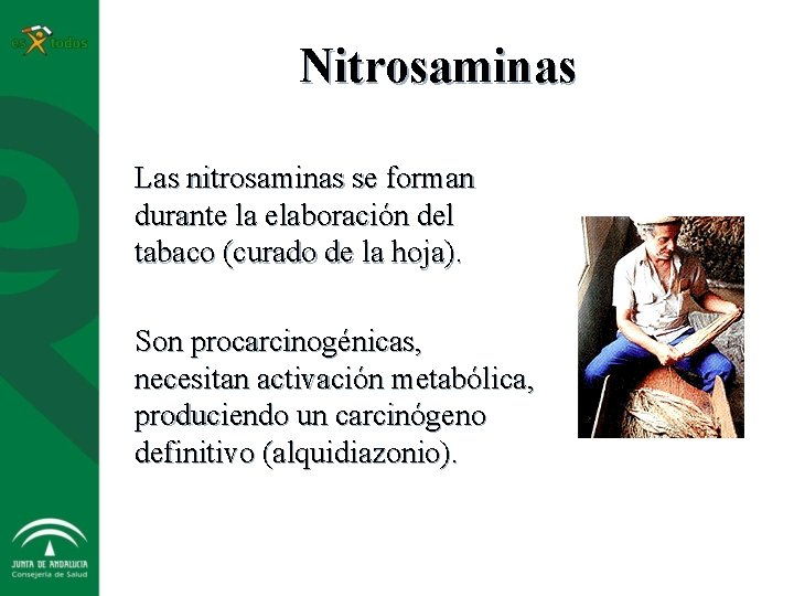 Nitrosaminas Las nitrosaminas se forman durante la elaboración del tabaco (curado de la hoja).