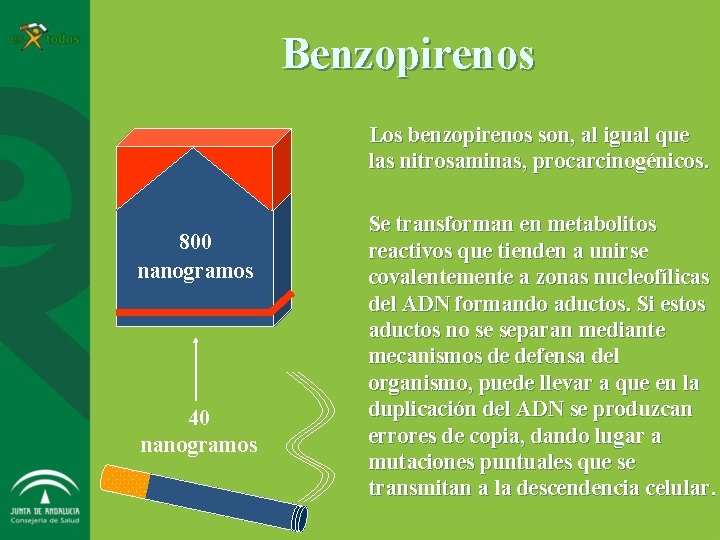 Benzopirenos Los benzopirenos son, al igual que las nitrosaminas, procarcinogénicos. 800 nanogramos 40 nanogramos