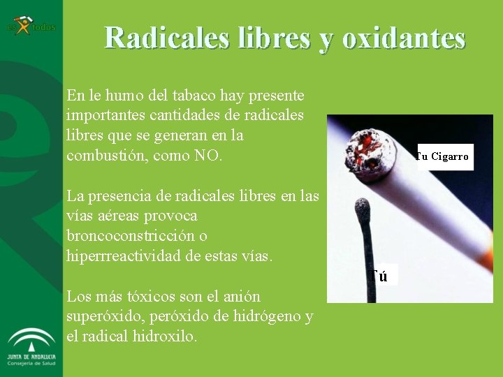 Radicales libres y oxidantes En le humo del tabaco hay presente importantes cantidades de