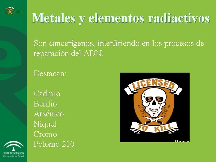 Metales y elementos radiactivos Son cancerígenos, interfiriendo en los procesos de reparación del ADN.