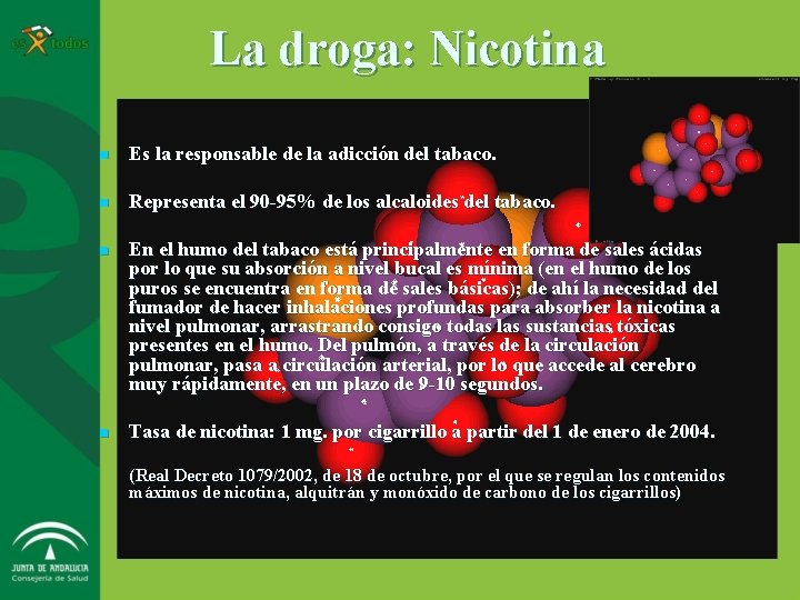 La droga: Nicotina n Es la responsable de la adicción del tabaco. n Representa