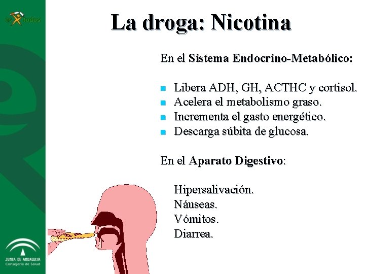 La droga: Nicotina En el Sistema Endocrino-Metabólico: n n Libera ADH, GH, ACTHC y