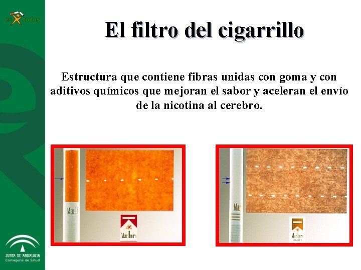 El filtro del cigarrillo Estructura que contiene fibras unidas con goma y con aditivos