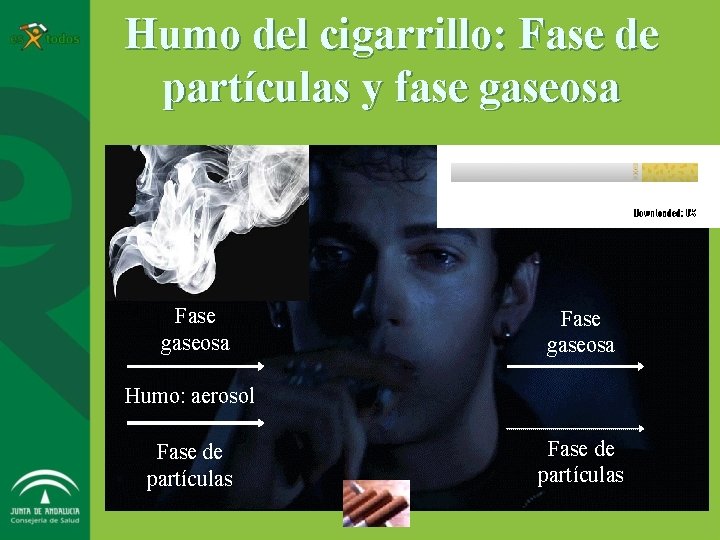 Humo del cigarrillo: Fase de partículas y fase gaseosa Fase gaseosa Humo: aerosol Fase