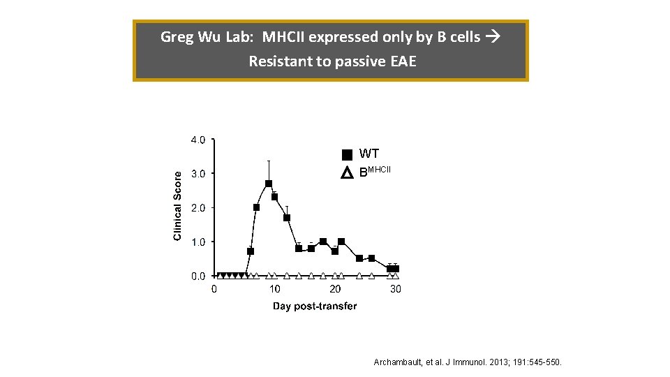 Greg Wu Lab: MHCII expressed only by B cells Resistant to passive EAE WT