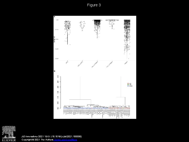 Figure 3 JID Innovations 2021 1 DOI: (10. 1016/j. xjidi. 2021. 100008) Copyright ©