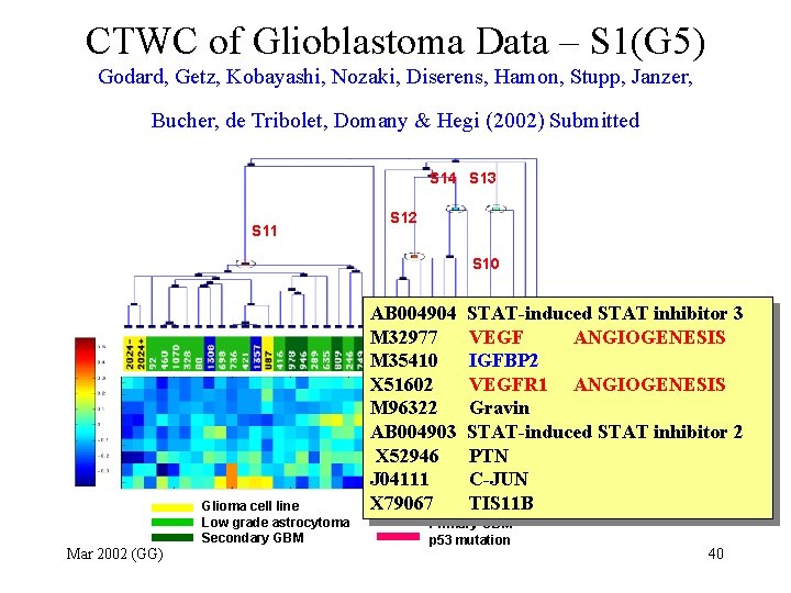 CTWC of Glioblastoma Data – S 1(G 5) Godard, Getz, Kobayashi, Nozaki, Diserens, Hamon,