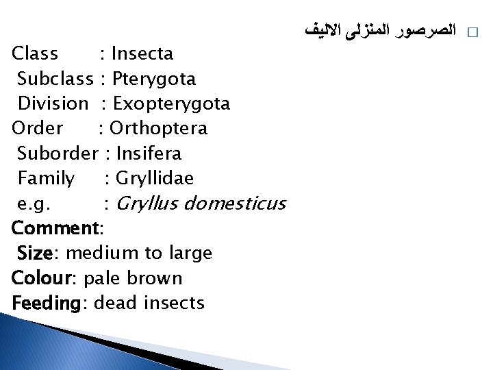 Class : Insecta Subclass : Pterygota Division : Exopterygota Order : Orthoptera Suborder :