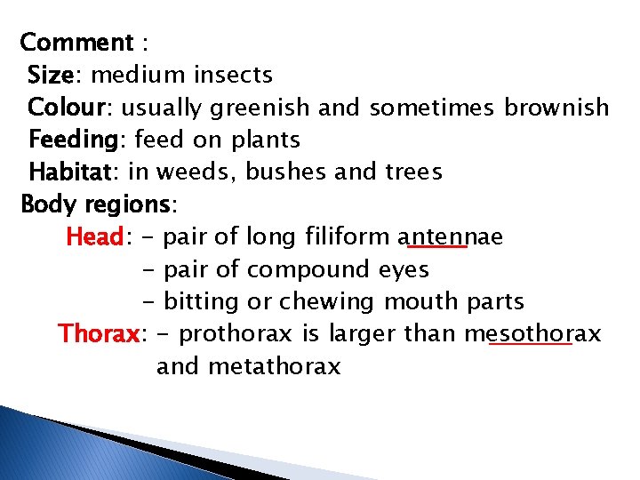 Comment : Size: medium insects Colour: usually greenish and sometimes brownish Feeding: feed on