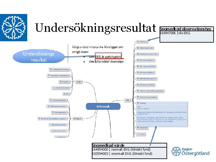 Undersökningsresultat Snomedkod värde 164854000 | normalt EKG (kliniskt fynd) 102594003 | onormalt EKG (kliniskt