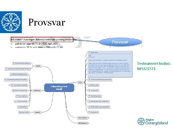 Provsvar Testnamnet kodas: NPU 21571 